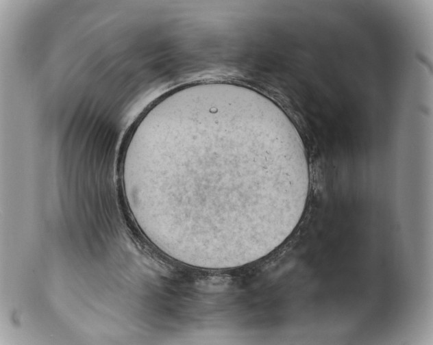 X0000098140196200805151149