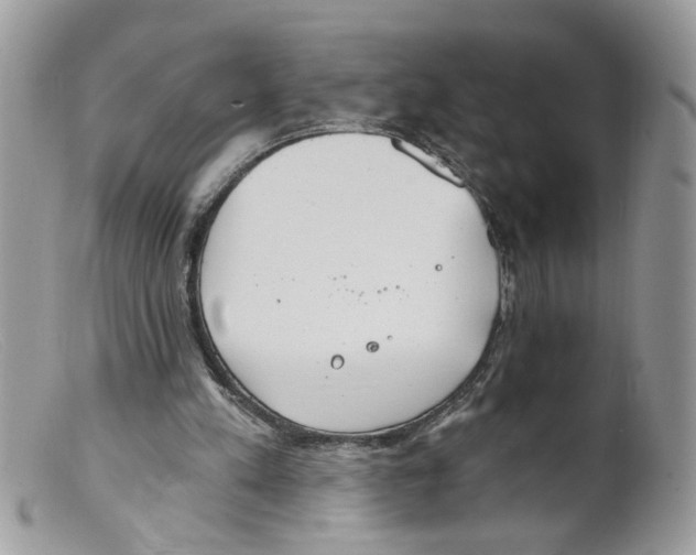 X0000098140197200805151149