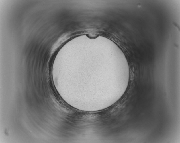 X0000098140198200805151149