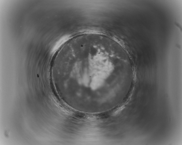 X0000098140199200805151149