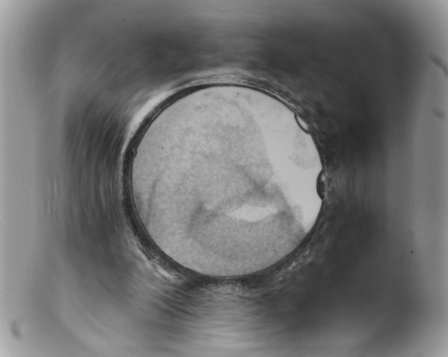 X0000098140200200805151149