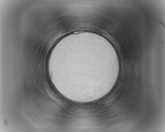 X0000098140203200805151149