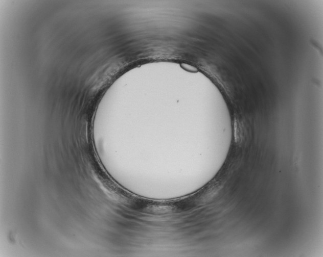 X0000098140205200805151149