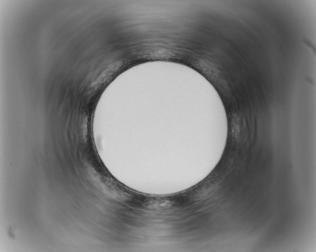 X0000098140206200805151148