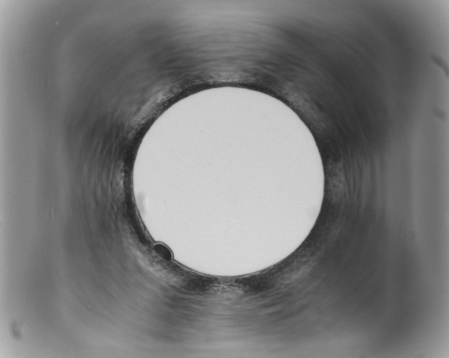 X0000098140207200805151148