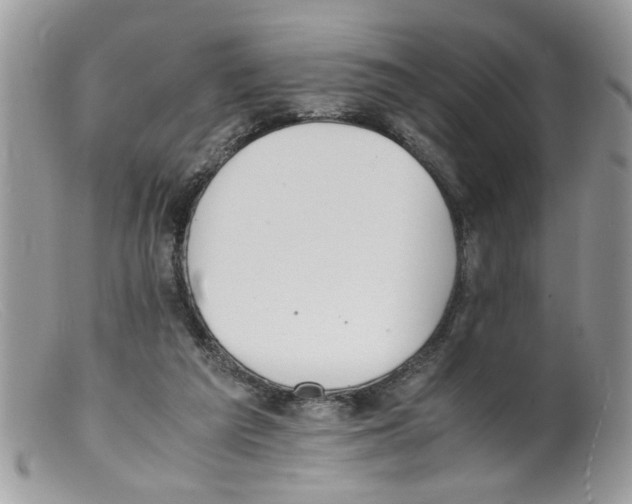 X0000098140209200805151148