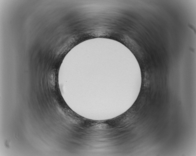 X0000098140210200805151148