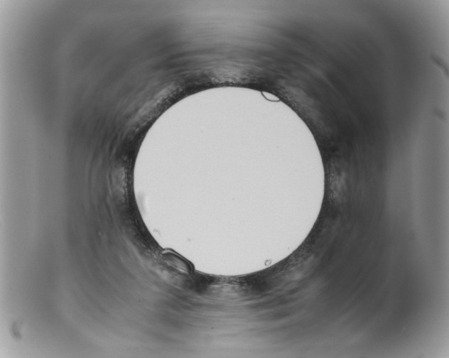 X0000098140211200805151148