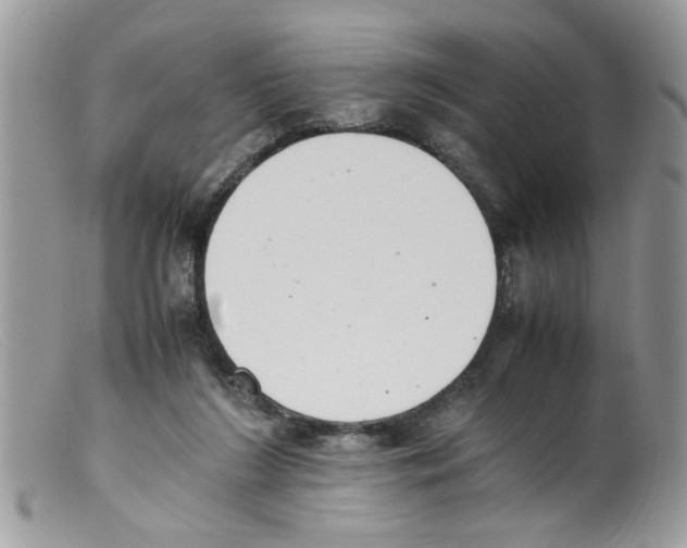 X0000098140212200805151148