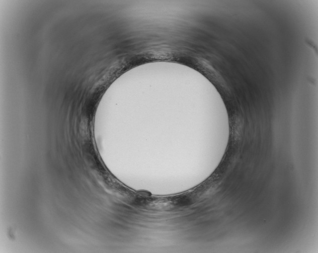 X0000098140213200805151148