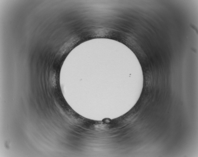 X0000098140216200805151148