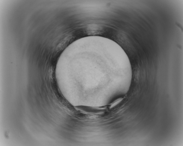 X0000098140219200805151148