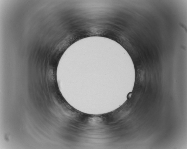 X0000098140220200805151148