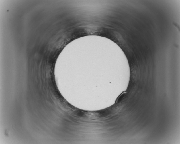 X0000098140221200805151148