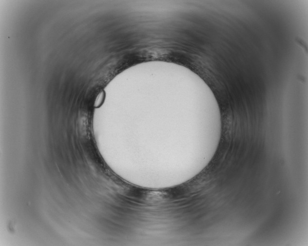 X0000098140222200805151148