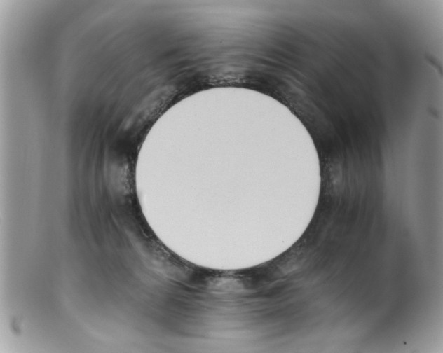 X0000098140224200805151148