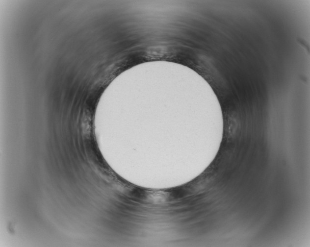 X0000098140226200805151148