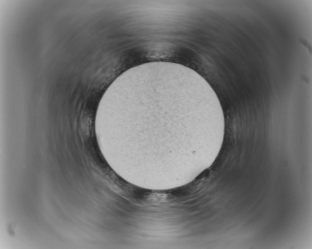 X0000098140227200805151148