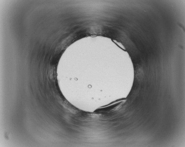 X0000098140233200805151148