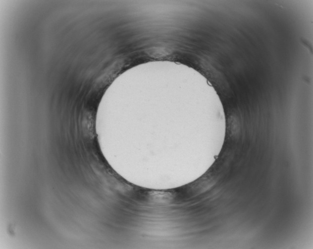 X0000098140234200805151148