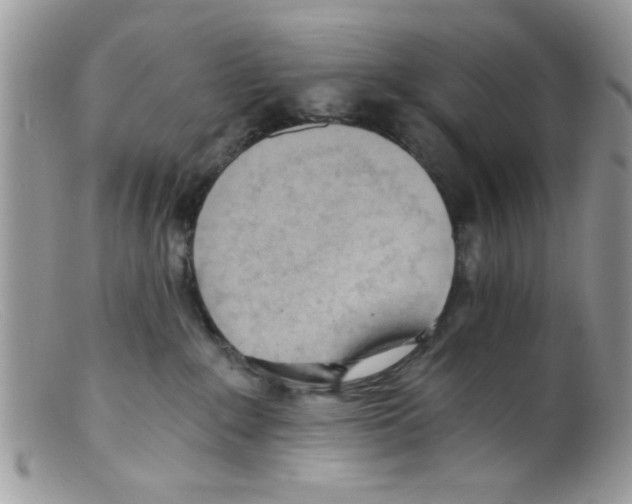 X0000098140235200805151148