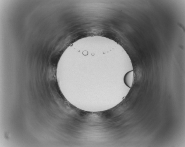 X0000098140236200805151148