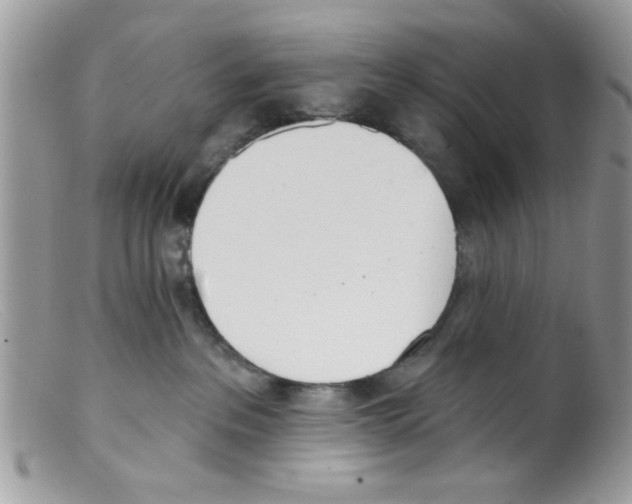 X0000098140237200805151148