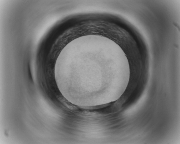 X0000098140239200805151148