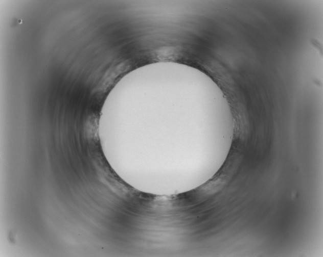 X0000098140240200805151148