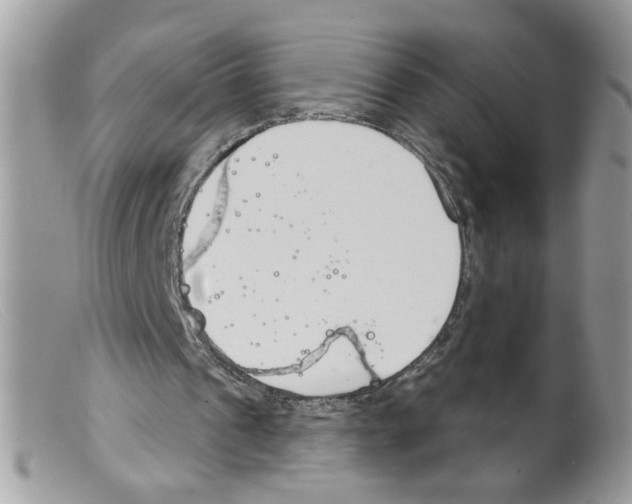 X0000098140241200805151147