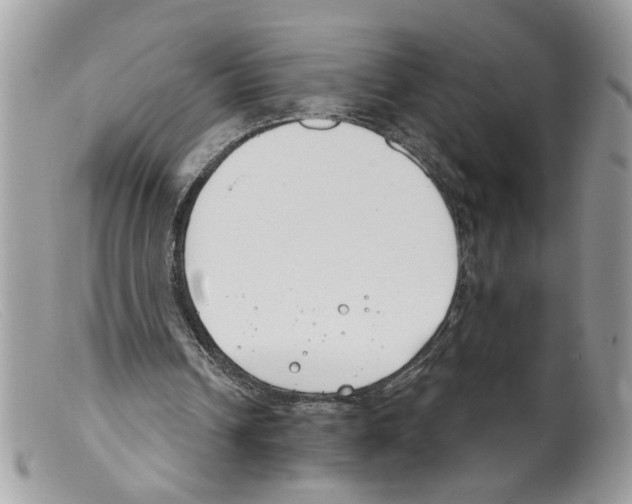 X0000098140242200805151147