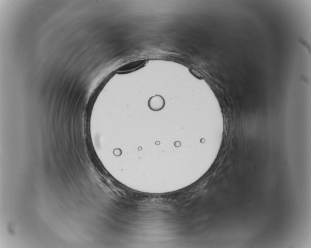 X0000098140244200805151147