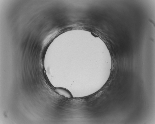 X0000098140245200805151147