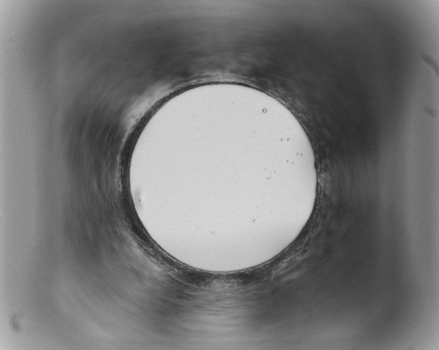 X0000098140248200805151147