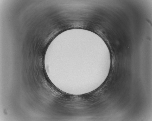 X0000098140249200805151147