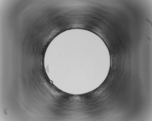 X0000098140253200805151148