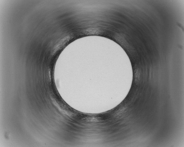 X0000098140254200805151148