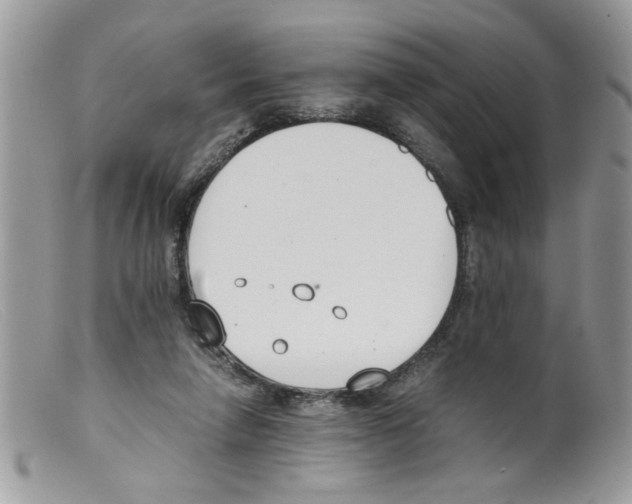 X0000098140258200805151148