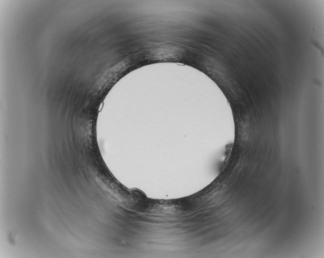 X0000098140260200805151148