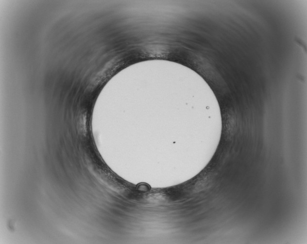 X0000098140262200805151148