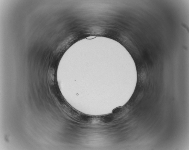 X0000098140264200805151148