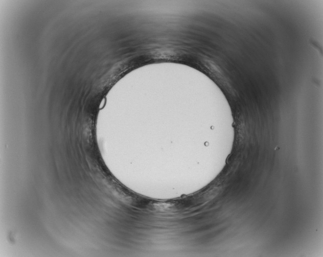 X0000098140265200805151148