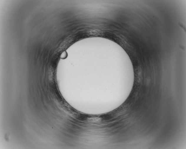 X0000098140266200805151148