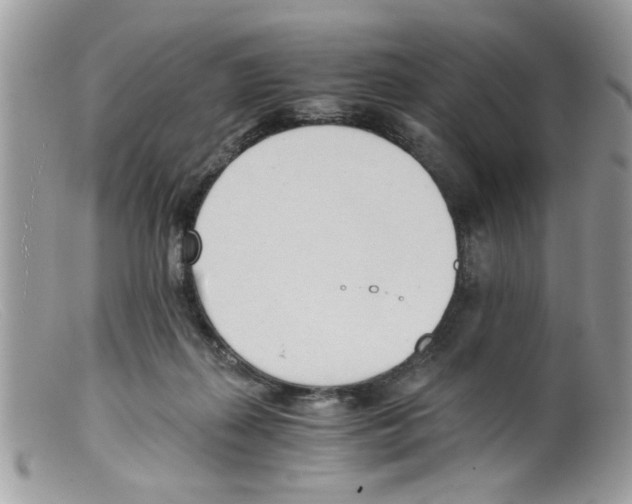 X0000098140267200805151148