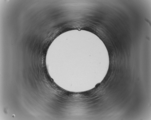 X0000098140268200805151148