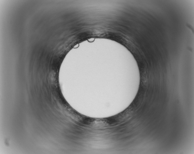 X0000098140270200805151148