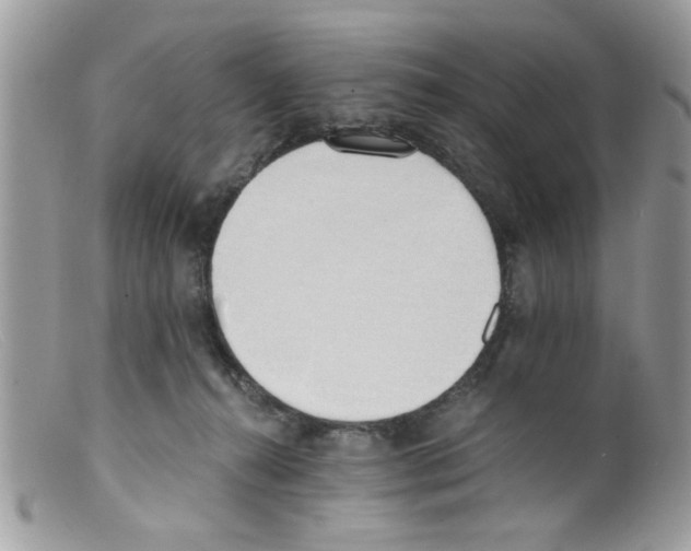 X0000098140272200805151148