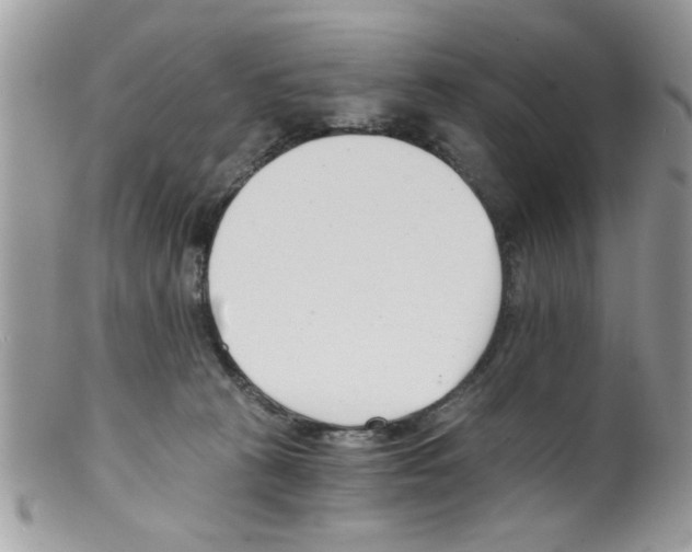 X0000098140273200805151148