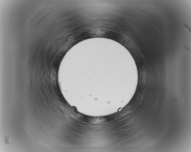 X0000098140274200805151148