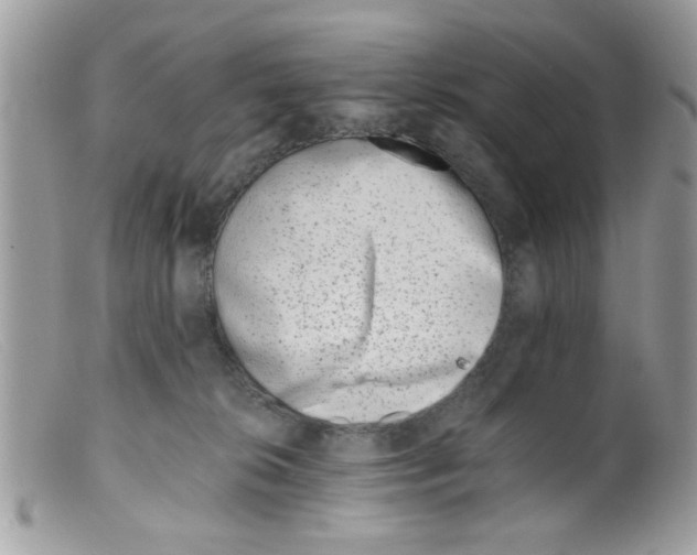 X0000098140276200805151148